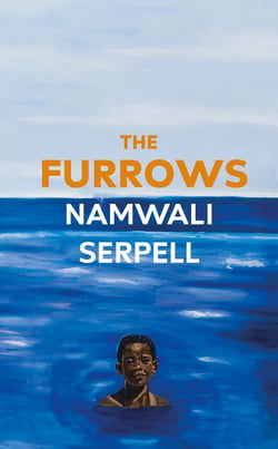 The Furrows - From the Prize-winning author of The Old Drift