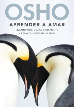 Aprender a amar - Enamorarse conscientemente y relacionarse sin miedos