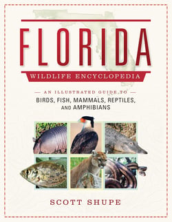 The Florida Wildlife Encyclopedia - An Illustrated Guide to Birds, Fish, Mammals, Reptiles, and Amphibians