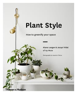 Plant style how to greenify your space
