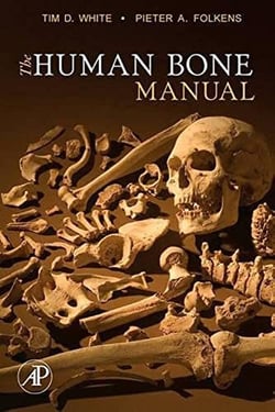 Human bone manual