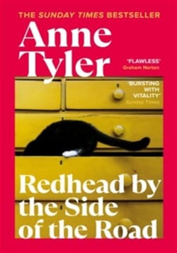 Redhead by the Side of the Road : A BBC BETWEEN THE COVERS BOOKER PRIZE GEM