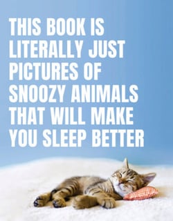 This book is literally just pictures of snoozy animals that will make you sleep better /anglais