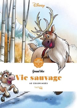 Grand bloc Disney Vie sauvage