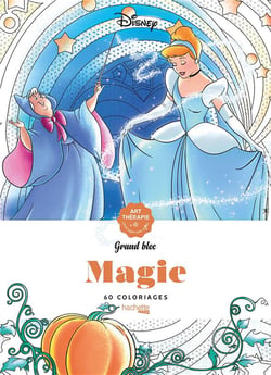 Grand bloc disney magie