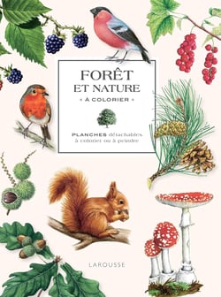 Forêt et nature à colorier - NE : Planches détachables à colorier ou à peindre