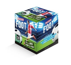 PASSION FOOT - le grand DEFI des fans de foot