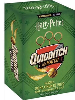 Harry Potter - Quidditch - Le match