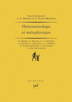 Phénoménologie et métaphysique