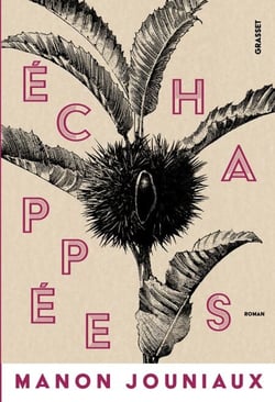 Echappées - premier roman