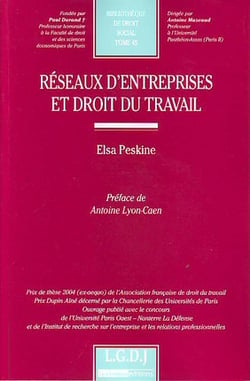 Reseaux d'entreprise en droit du travail - vol45 - prix de these (ex-aequo) de l'association francai