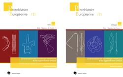 Caracterisation des assemblages metalliques d une agglomeration celtique