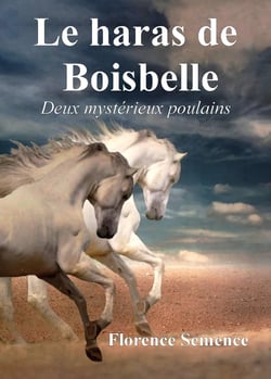 Le haras de boisbelle - deux mysterieux poulains