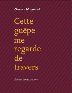 Cette guêpe me regarde de travers