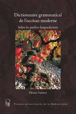 Dictionnaire grammatical de l'occitan moderne 2eme edition - selon les parlers languedociens