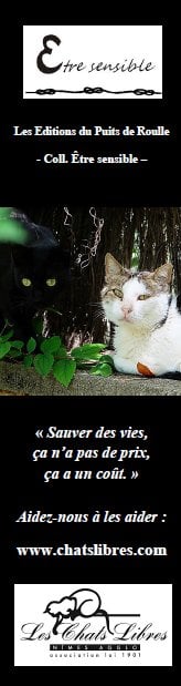 Le peuple de l'ombre - les aventures humaines et felines des chats libres de nimes agglo