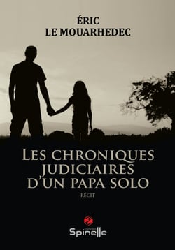 Les chroniques judiciaires d un papa solo