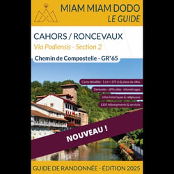 GR65 Section 2 : Cahors à Saint-Jean-Pied-de-Port/Roncevaux (édition 2025)