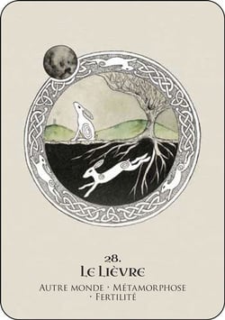 L'oracle des esprits celtes