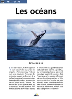 LES OCEANS