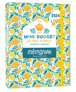 Mon mini-budget ultra-simple - Mémoniak - 2024