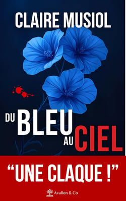 Du bleu au ciel