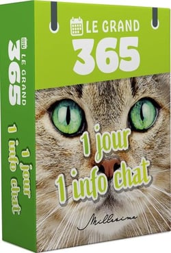Le Grand 365 jours pour les amoureux des chats