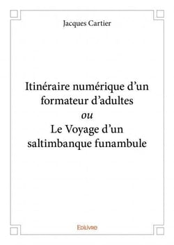 Itinéraire numérique d'un formateur d'adultes ou le voyage d'un saltimbanque funambule
