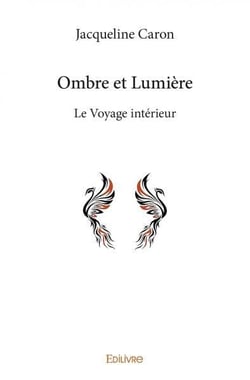 Ombre et Lumière : Le Voyage intérieur