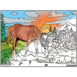 Tableau velours à colorier - Jument et poulain