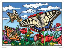 Tableau Velours à colorier - Les Papillons