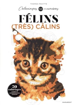 Colo by number - félins très calins