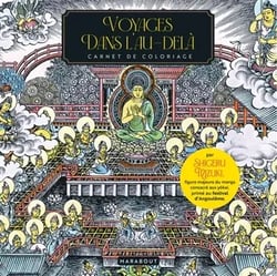 Voyages dans l'au-delà