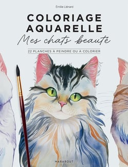 Mes chats beautés