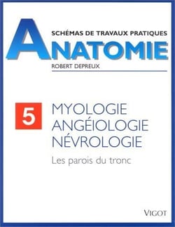 Anatomie myologie Tome 5