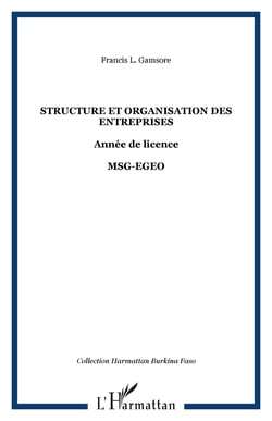 Structure et organisation des entreprises - annee de licence - msg-egeo