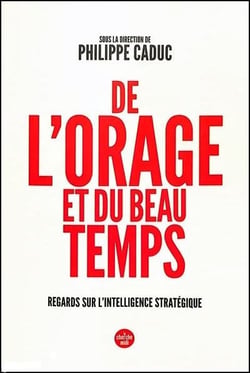 De l'orage et du beau temps : Regards sur l'intelligence stratégique