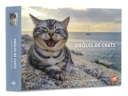 Agenda - Calendrier Drôles de chats 2024