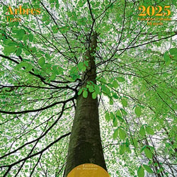 Calendrier 2025 Editions du Désastre - Arbres - 30 x 30 cm