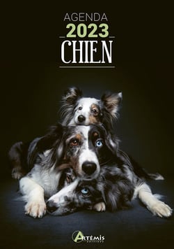 Agenda Chien d'Artémis - 2023