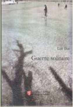 Guerre solitaire