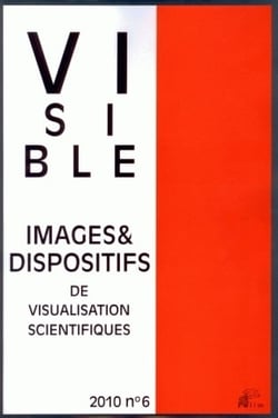 Visible, n° 6/2010 : Images et dispositifs de visualisation scientifiques