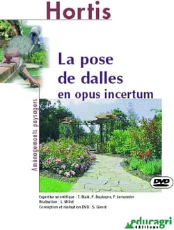 Hortis Amenagements Paysages Pose De Dalles En Opus Incertum (Dvd)