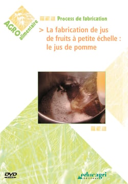 La fabrication de jus de fruits à petite