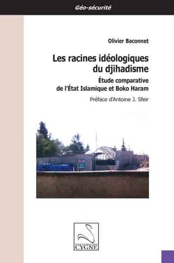 Les racines ideologiques du djihadisme : etude comparative de l'etat islamique et boko haram