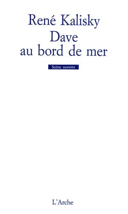 Dave au bord de la mer