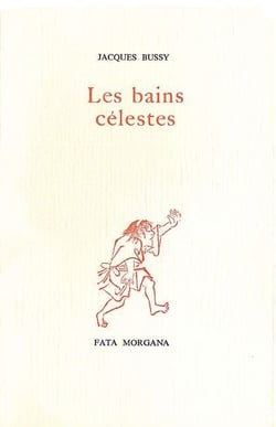 Les bains célestes, journal d'hivers au Japon