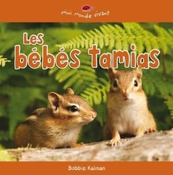 Les bebes tamias