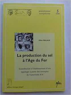 La production du sel a l'age du fer