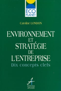 Environnement & strategie entreprise